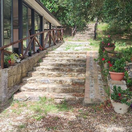 Agriturismo La Focazza Villa Ascea Eksteriør bilde