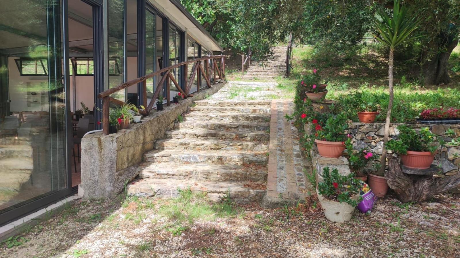 Agriturismo La Focazza Villa Ascea Eksteriør bilde