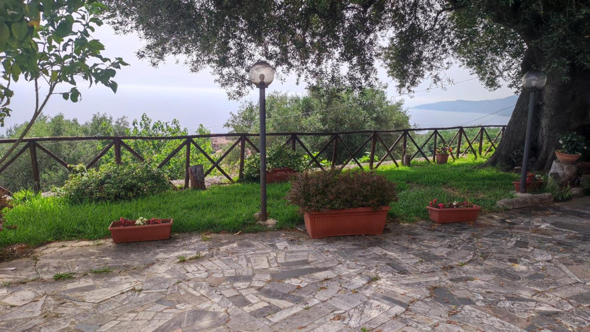 Agriturismo La Focazza Villa Ascea Eksteriør bilde
