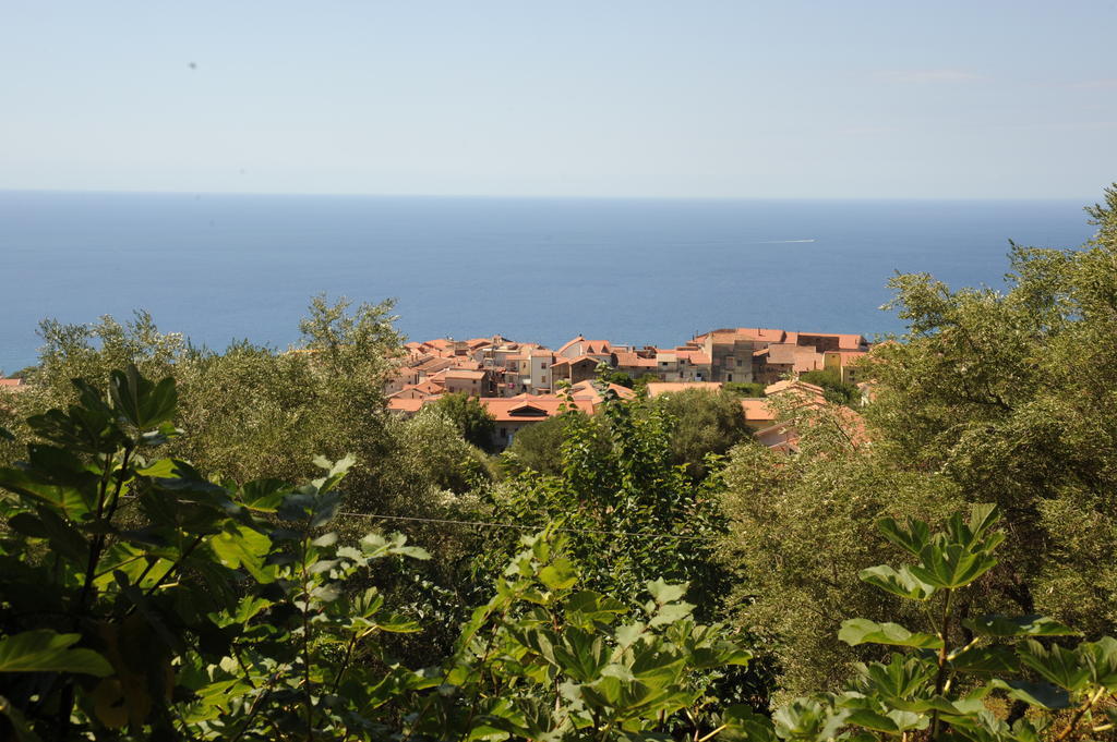 Agriturismo La Focazza Villa Ascea Eksteriør bilde