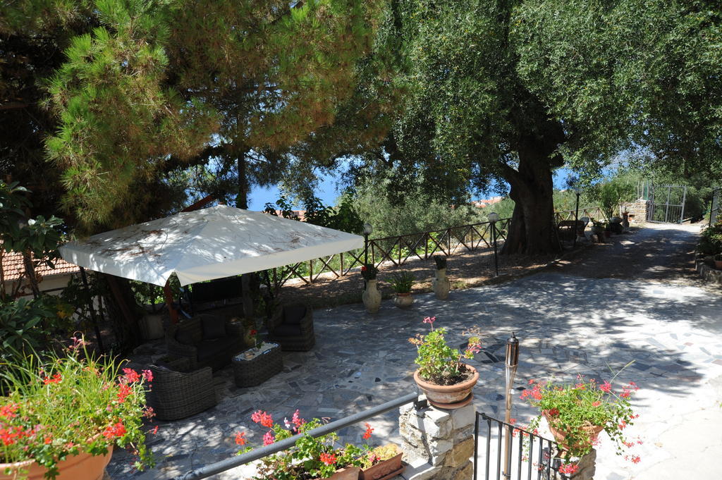 Agriturismo La Focazza Villa Ascea Eksteriør bilde