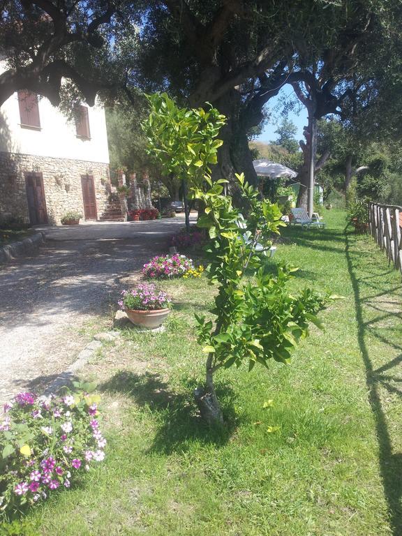 Agriturismo La Focazza Villa Ascea Eksteriør bilde