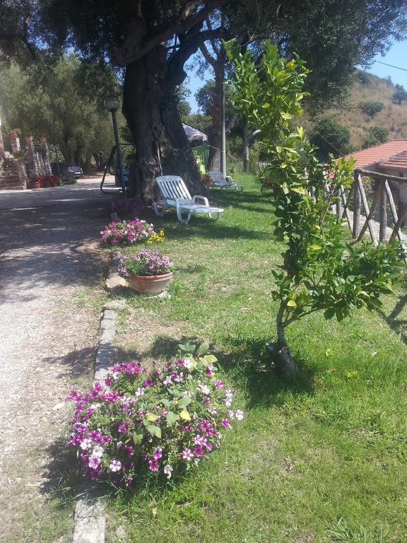 Agriturismo La Focazza Villa Ascea Eksteriør bilde